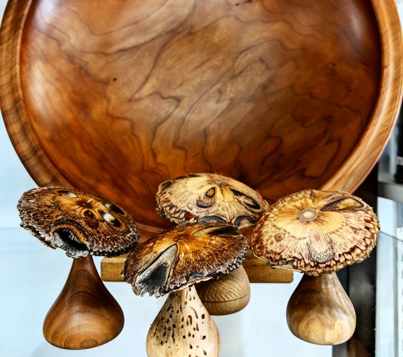Wooden bowl and mushrooms by Malcolm Cummings